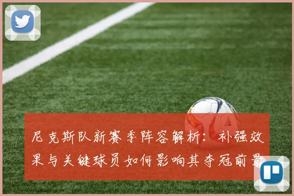 尼克斯队新赛季阵容解析：补强效果与关键球员如何影响其夺冠前景？