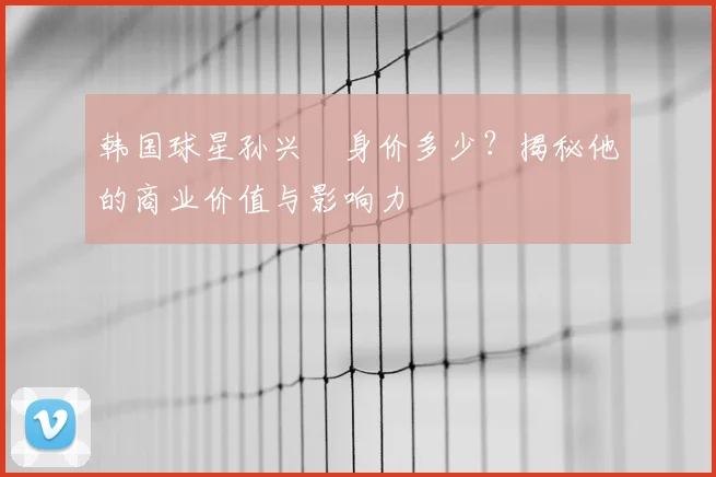韩国球星孙兴慜身价多少？揭秘他的商业价值与影响力